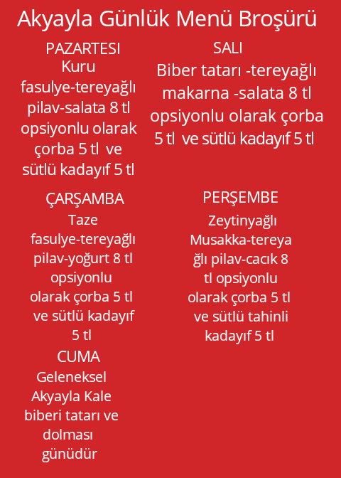 Fotoğraf 44