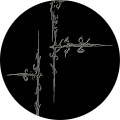 AKYAZI