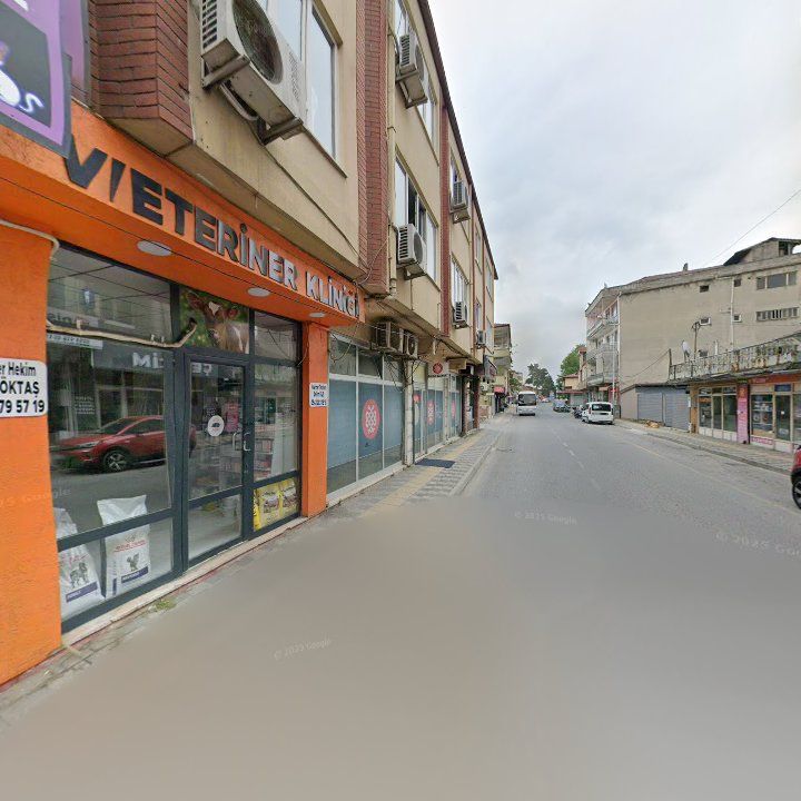 Fotoğraf 10