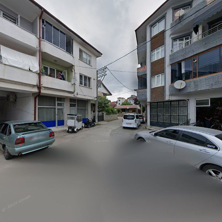 Fotoğraf 10