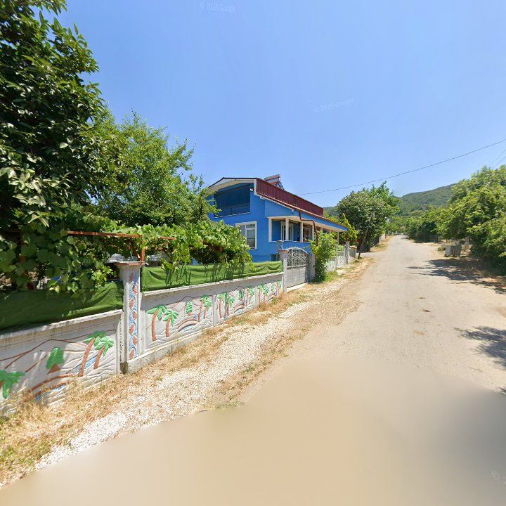 Fotoğraf 8