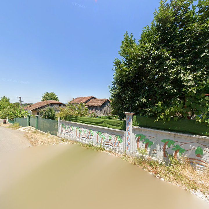 Fotoğraf 7