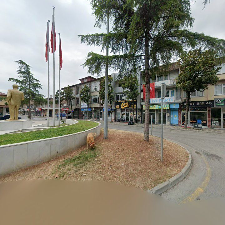 Fotoğraf 7