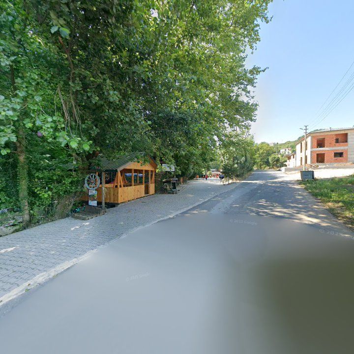 Fotoğraf 10