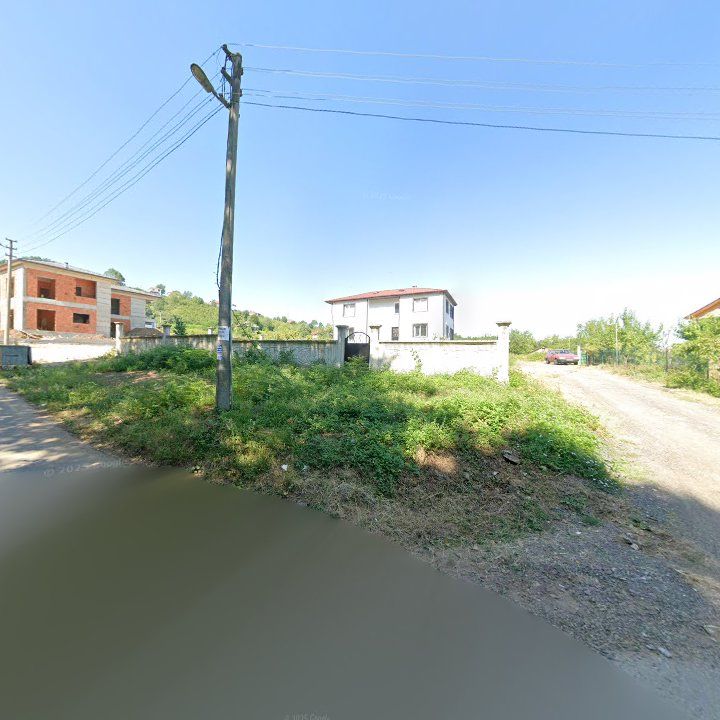 Fotoğraf 11