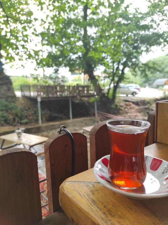 Fotoğraf 8