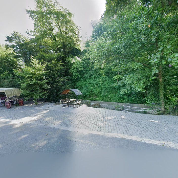 Fotoğraf 13