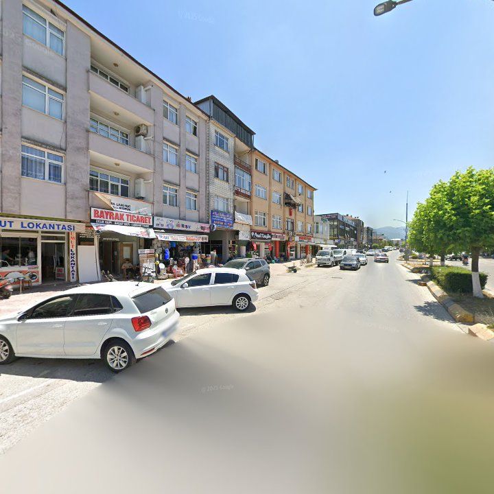 Fotoğraf 11