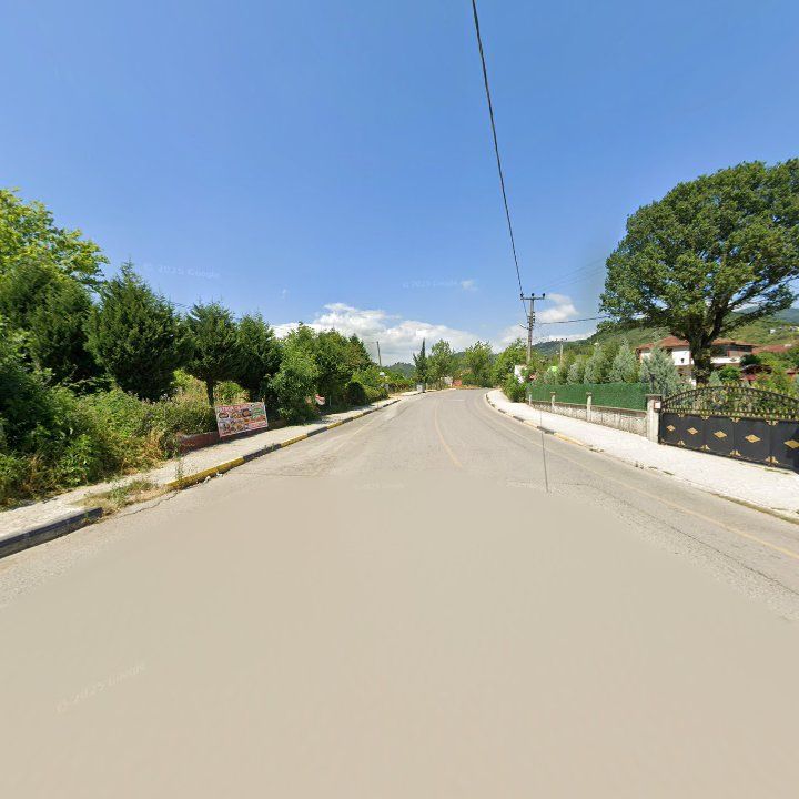 Fotoğraf 9