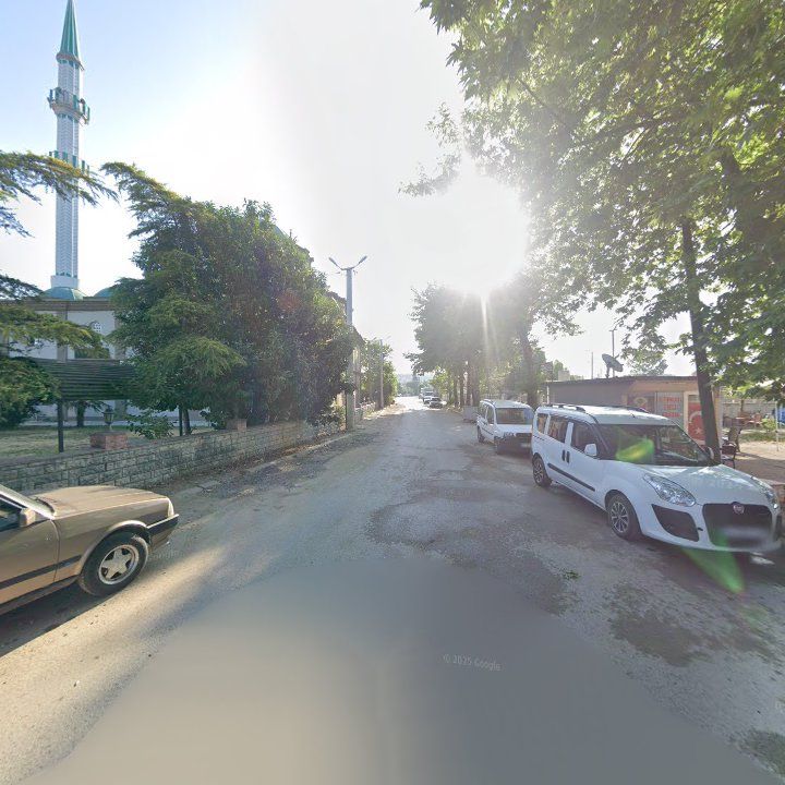 Fotoğraf 7