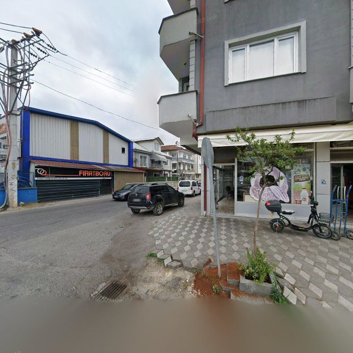 Fotoğraf 6