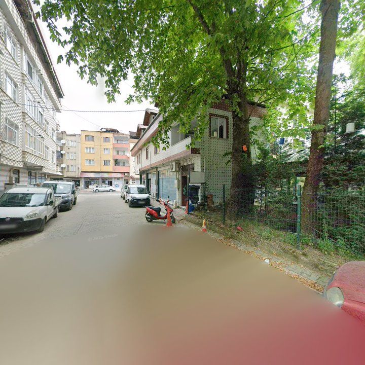 Fotoğraf 9