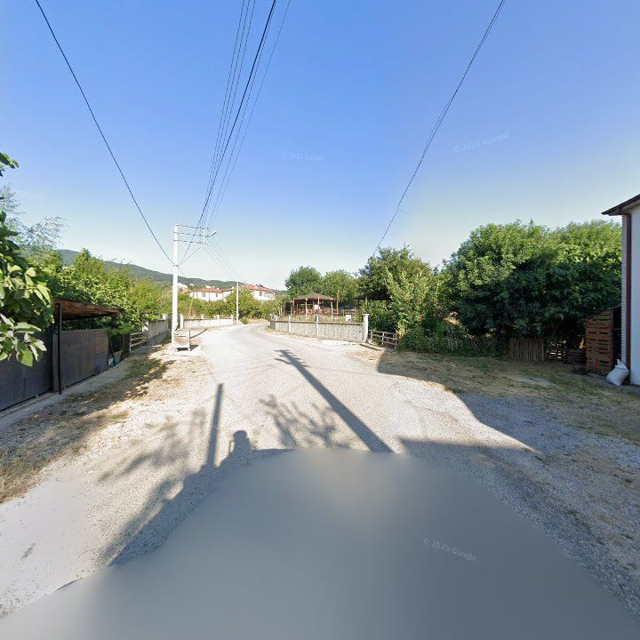 Fotoğraf 10