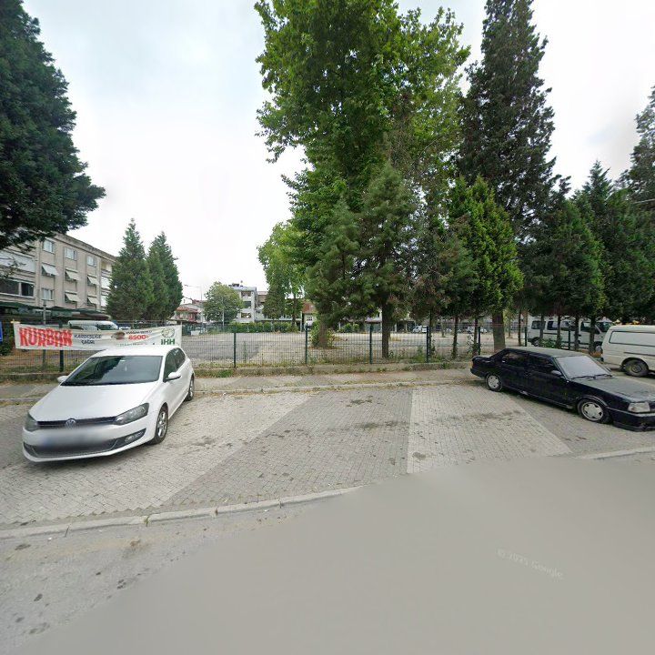 Fotoğraf 8