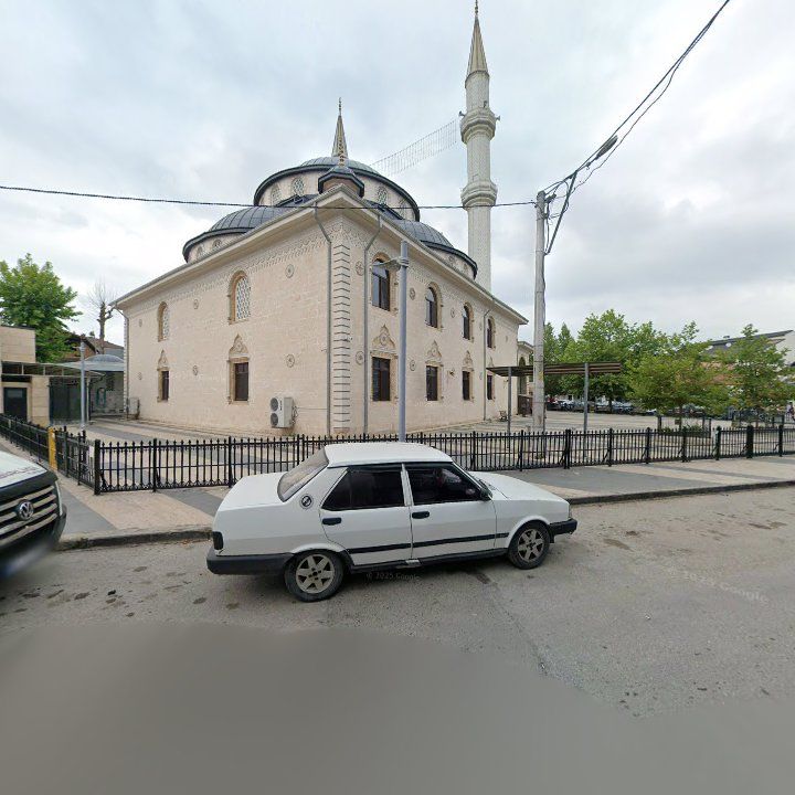 Fotoğraf 7