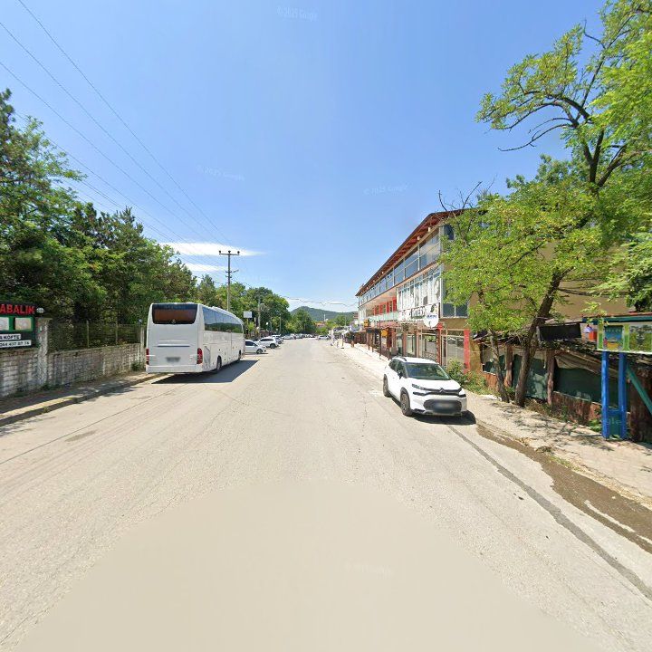 Fotoğraf 7
