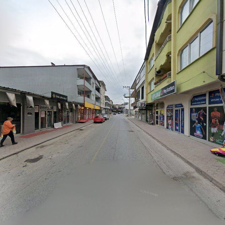 Fotoğraf 10