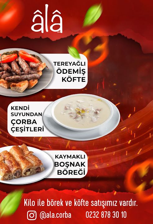 Fotoğraf 12