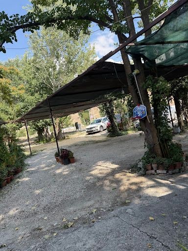Fotoğraf 33