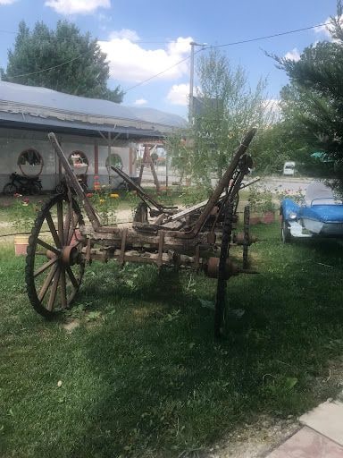 Fotoğraf 43