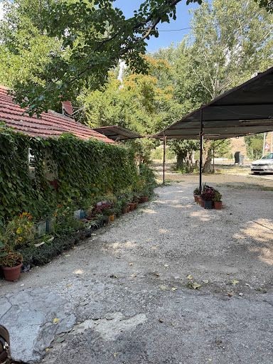 Fotoğraf 34