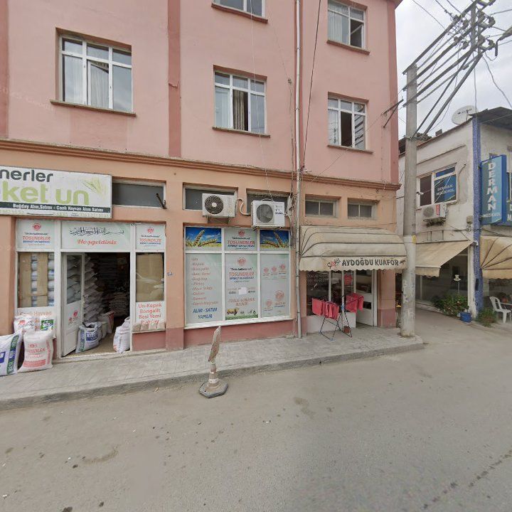 Fotoğraf 3