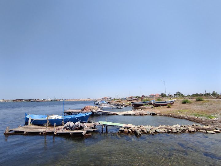 Samsun Alaçam Toplu Doyran Ve Göçkün Köyleri Su Ürünleri Kooperatifi