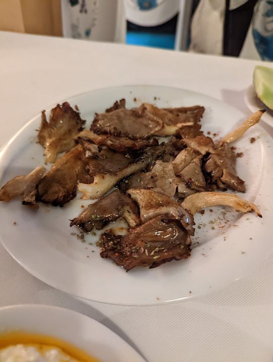 Fotoğraf 23