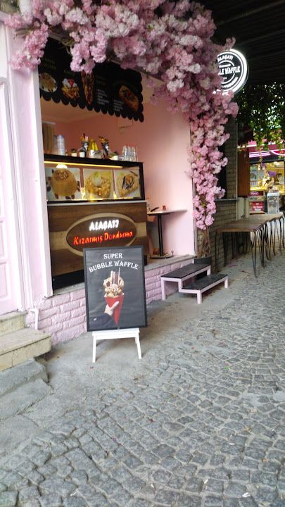 Fotoğraf 33