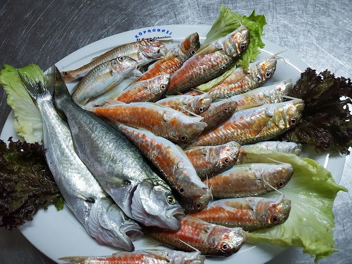 Fotoğraf 38