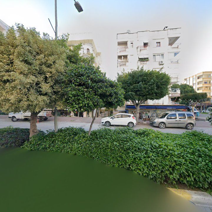 Fotoğraf 8