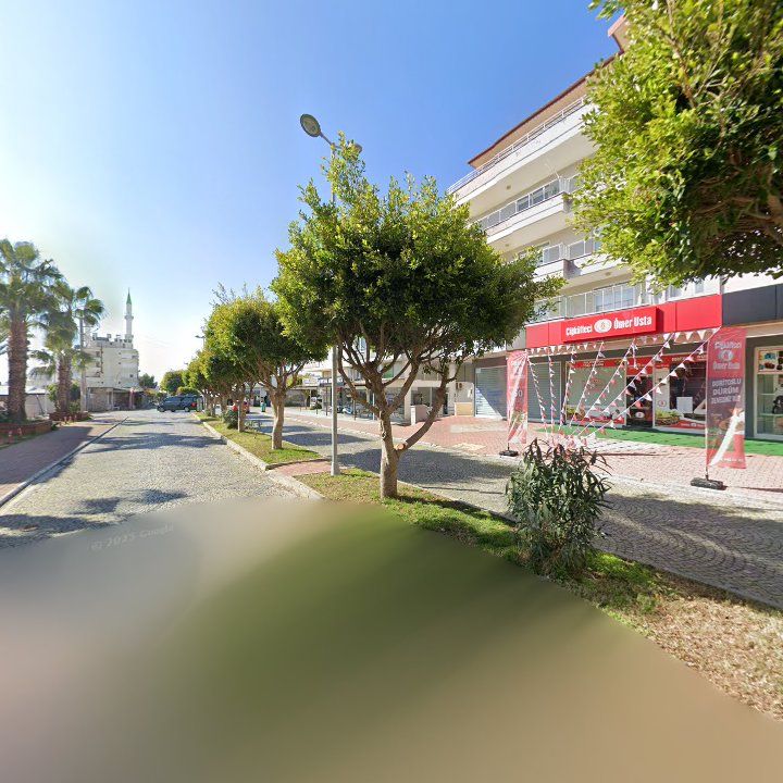Fotoğraf 7
