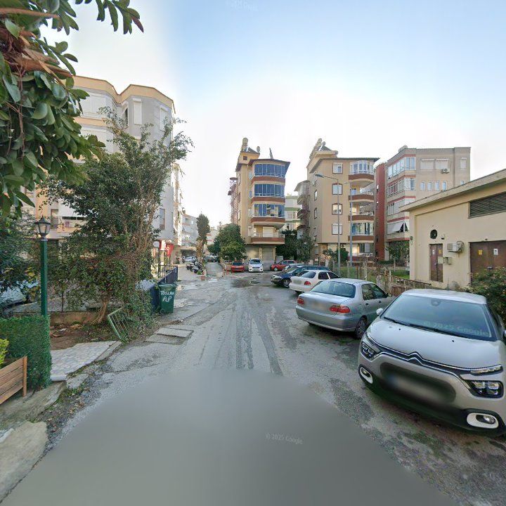 Fotoğraf 9