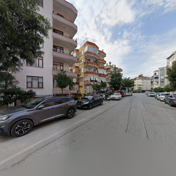Fotoğraf 12