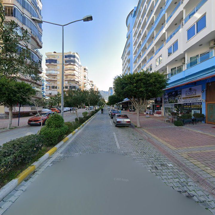 Fotoğraf 12