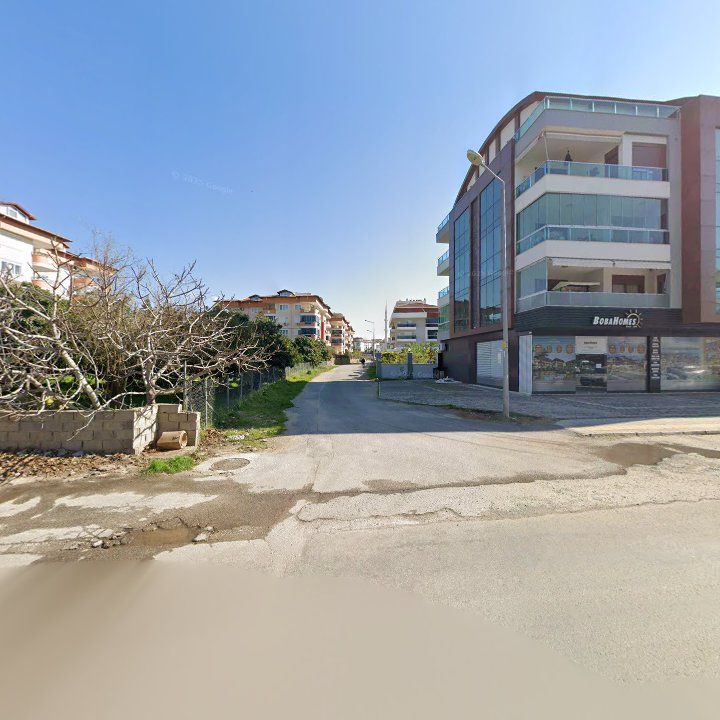 Fotoğraf 11