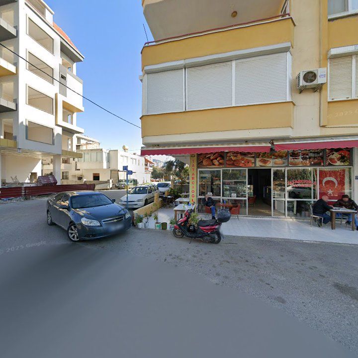 Fotoğraf 8