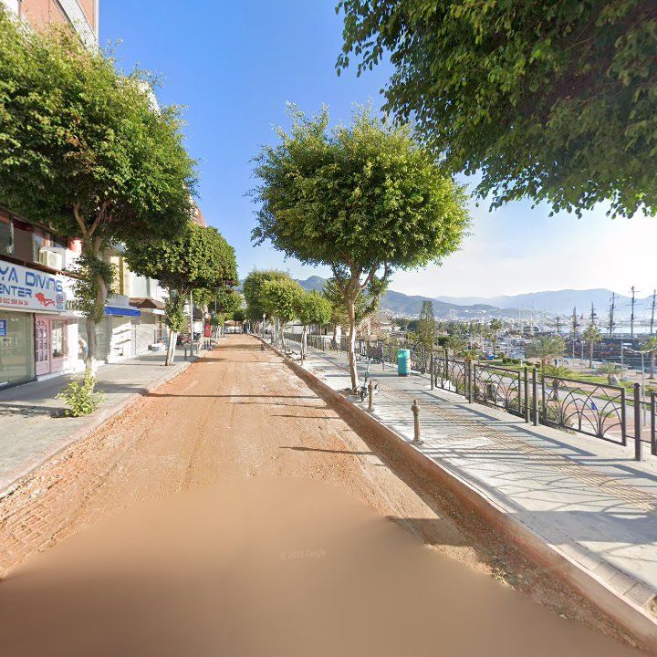 Fotoğraf 11