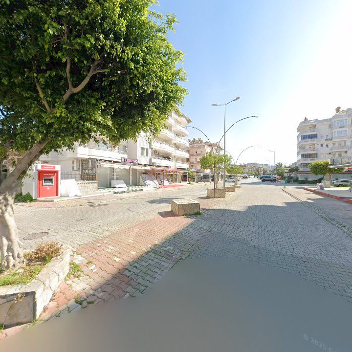 Fotoğraf 11