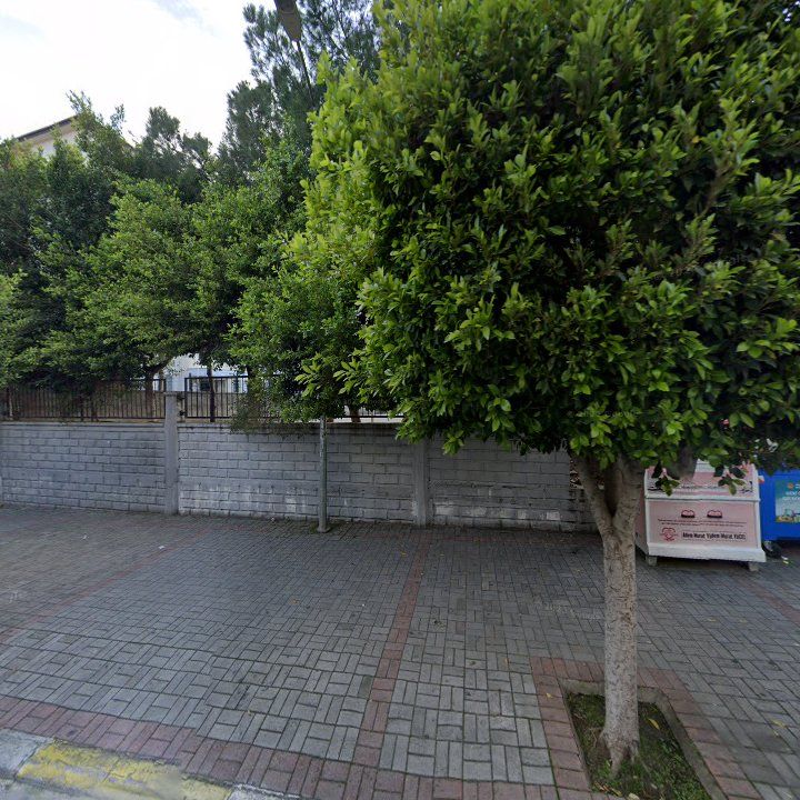 Fotoğraf 11