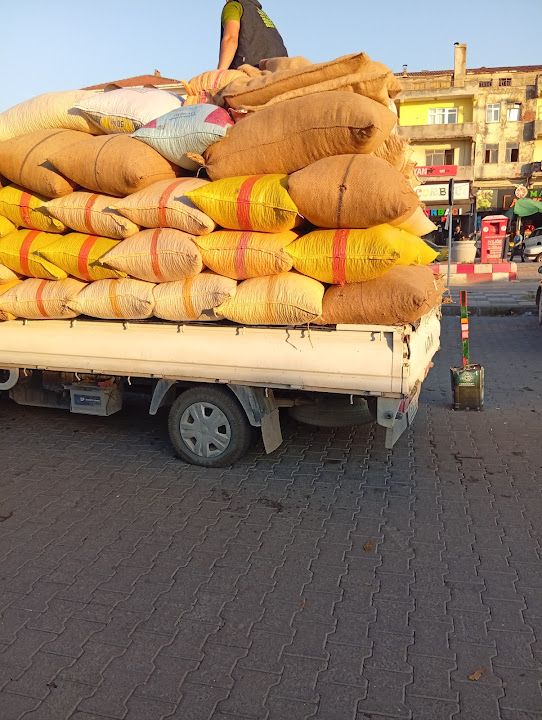 Alapli Ekmek