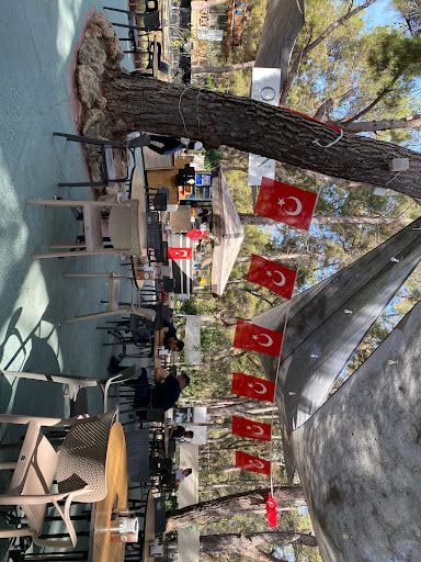 Yorum fotoğrafı 7