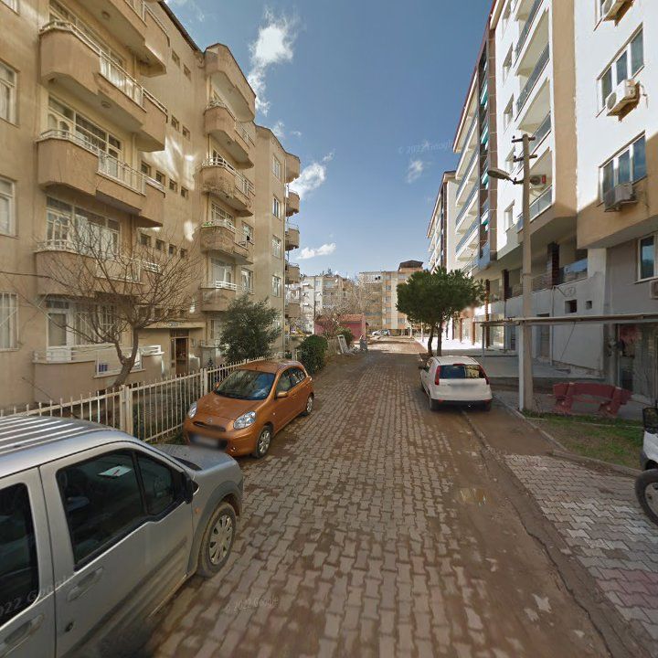 Fotoğraf 8