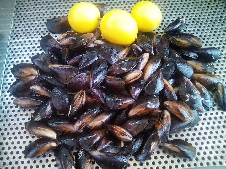 Çiğ Köfteci Sait Alaşehir