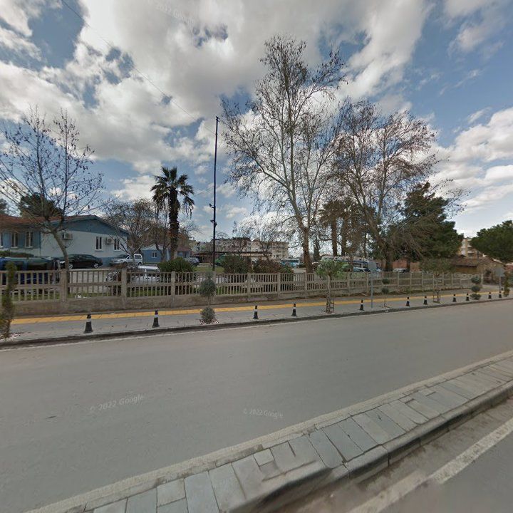 Fotoğraf 8