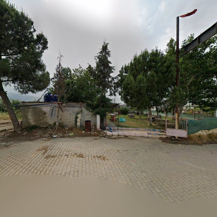 Fotoğraf 4