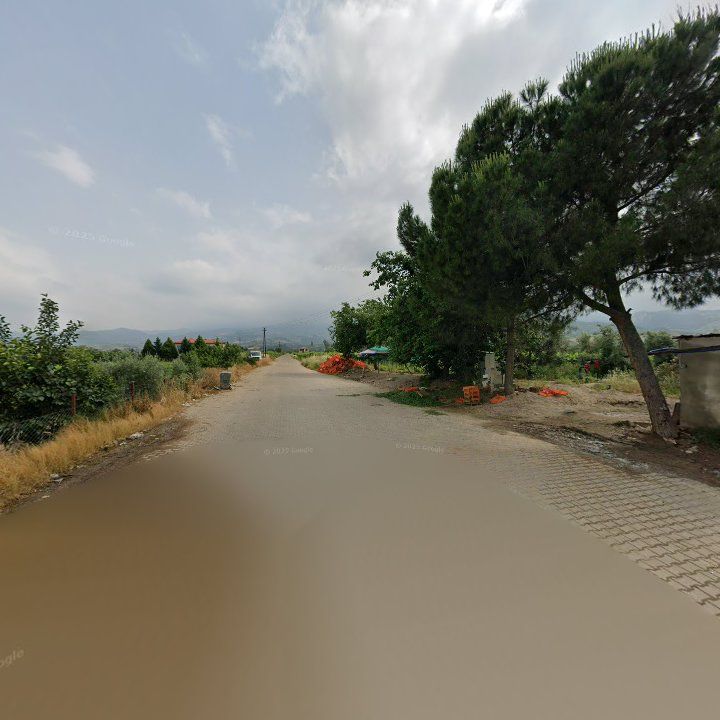 Fotoğraf 7