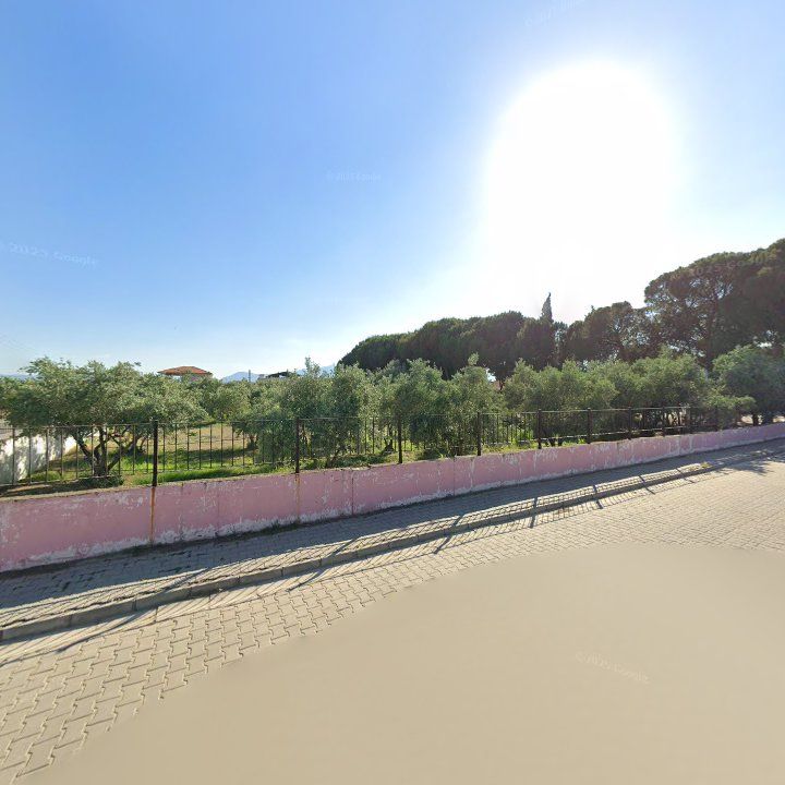 Fotoğraf 8
