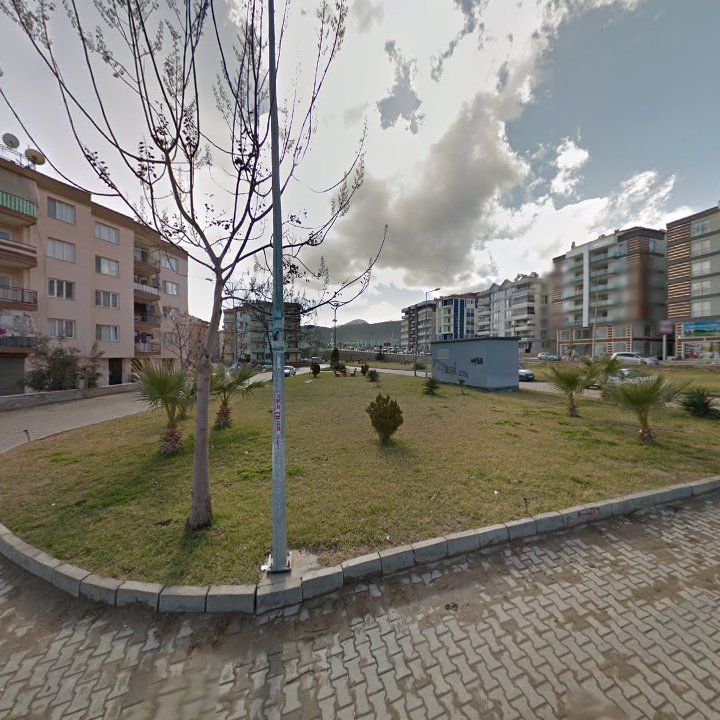 Fotoğraf 9