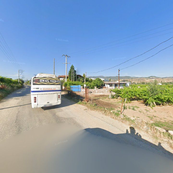 Fotoğraf 11